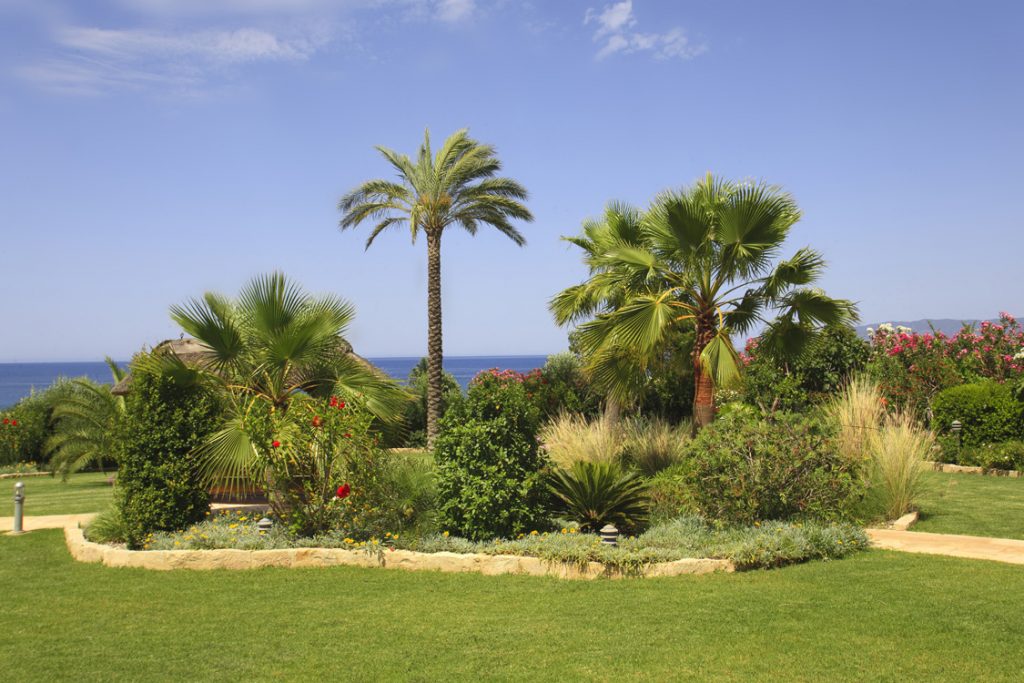 Green Forest - Cyprus' leading landscaping company - project 008 26 2