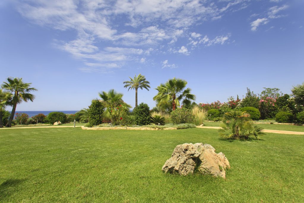 Green Forest - Cyprus' leading landscaping company - project 008 27 2