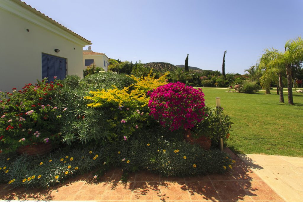 Green Forest - Cyprus' leading landscaping company - project 008 32 2