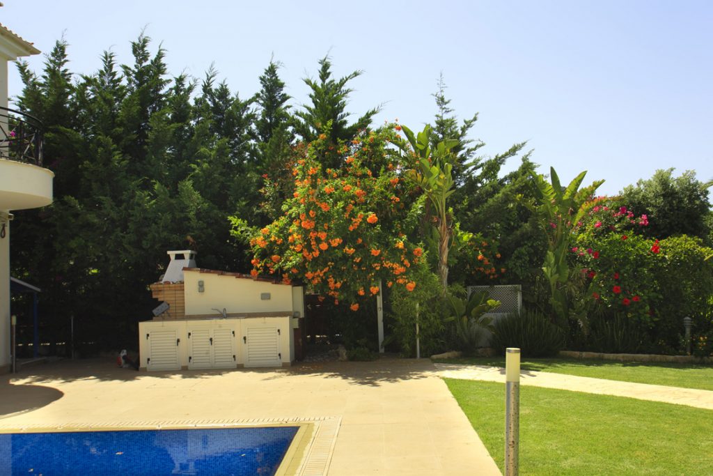 Green Forest - Cyprus' leading landscaping company - project 008 35