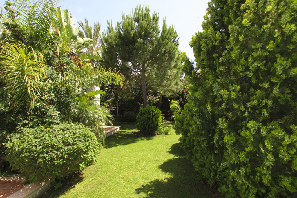 Green Forest - Cyprus' leading landscaping company - project 008 48 1