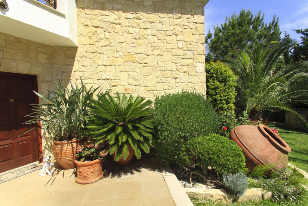 Green Forest - Cyprus' leading landscaping company - project 008 58 2