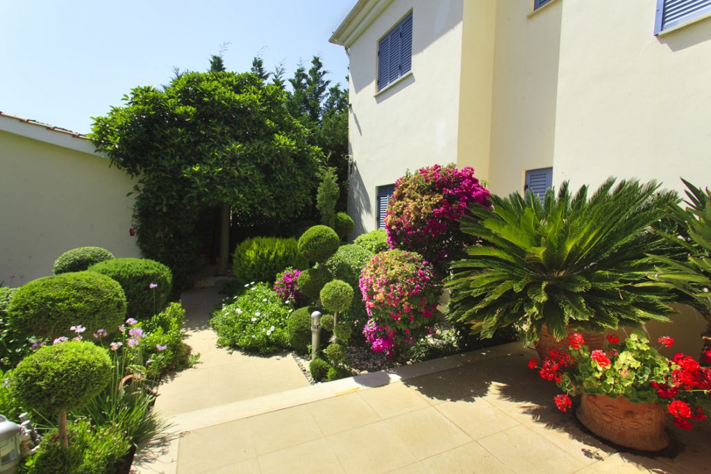Green Forest - Cyprus' leading landscaping company - project 008 59 2