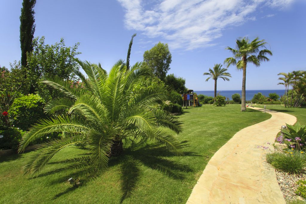 Green Forest - Cyprus' leading landscaping company - project 008 6 2