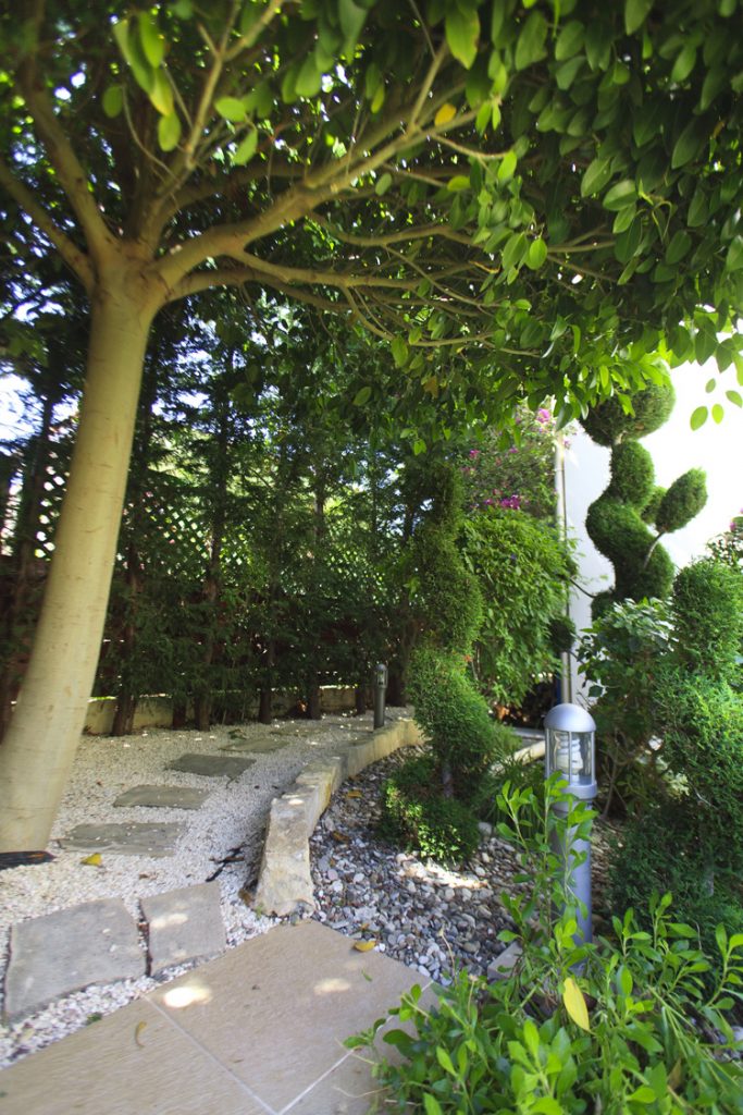 Green Forest - Cyprus' leading landscaping company - project 008 63 1