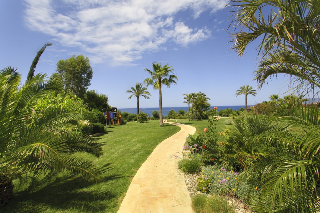 Green Forest - Cyprus' leading landscaping company - project 008 7 2