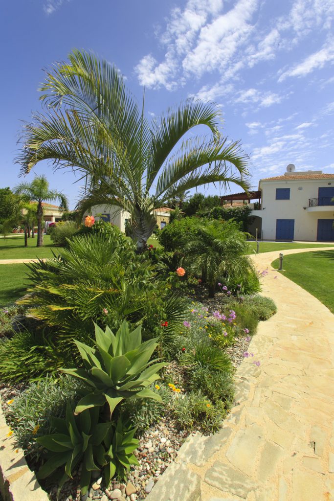 Green Forest - Cyprus' leading landscaping company - project 008 8