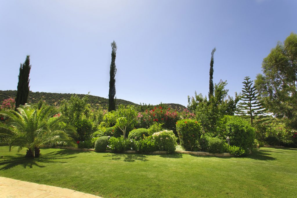 Green Forest - Cyprus' leading landscaping company - project 008 9 2