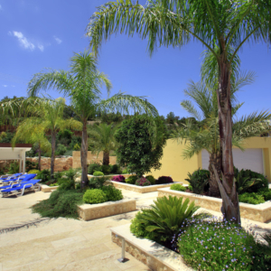 Green Forest - Cyprus' leading landscaping company - project 009 1 2