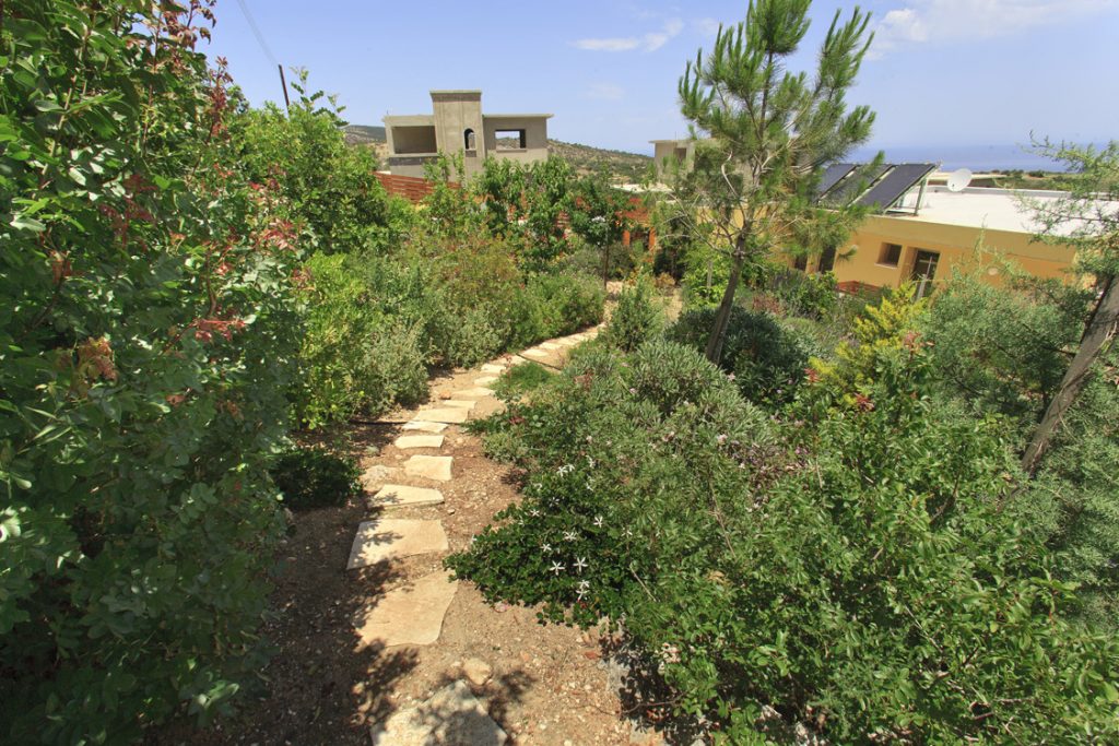 Green Forest - Cyprus' leading landscaping company - project 009 10