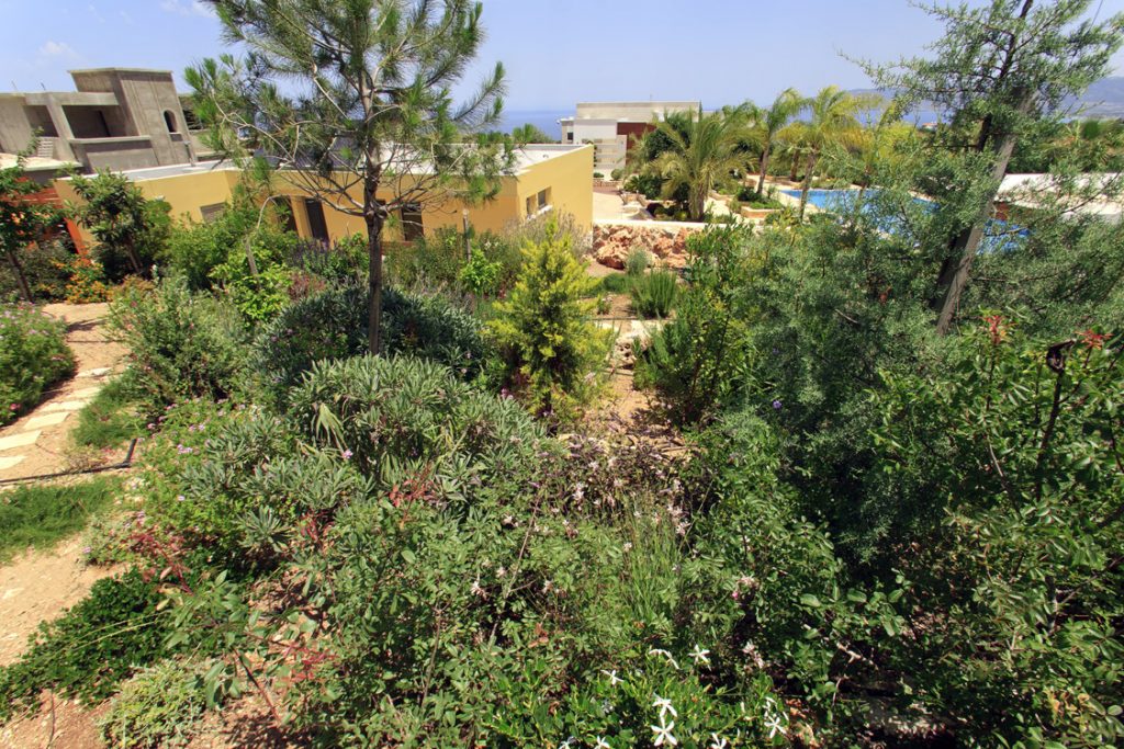 Green Forest - Cyprus' leading landscaping company - project 009 11 2