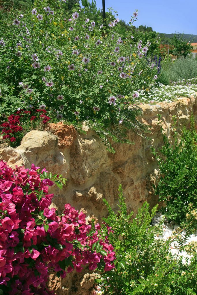 Green Forest - Cyprus' leading landscaping company - project 009 13 2