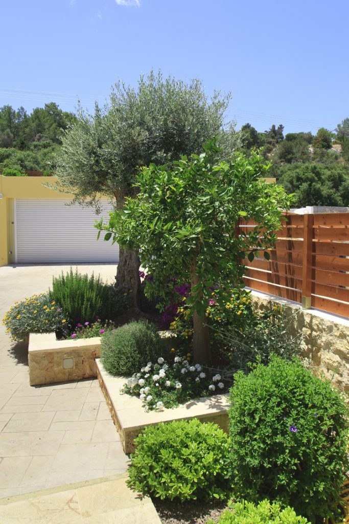 Green Forest - Cyprus' leading landscaping company - project 009 20