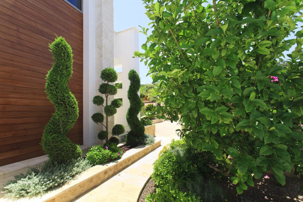 Green Forest - Cyprus' leading landscaping company - project 009 22
