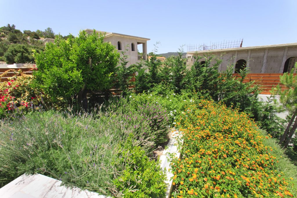 Green Forest - Cyprus' leading landscaping company - project 009 23
