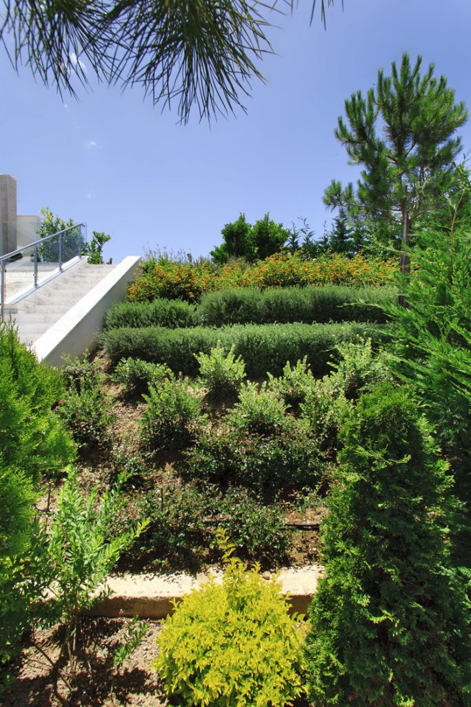 Green Forest - Cyprus' leading landscaping company - project 009 29 2