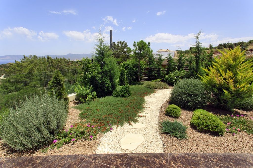 Green Forest - Cyprus' leading landscaping company - project 009 31 1