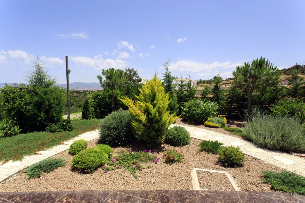 Green Forest - Cyprus' leading landscaping company - project 009 32
