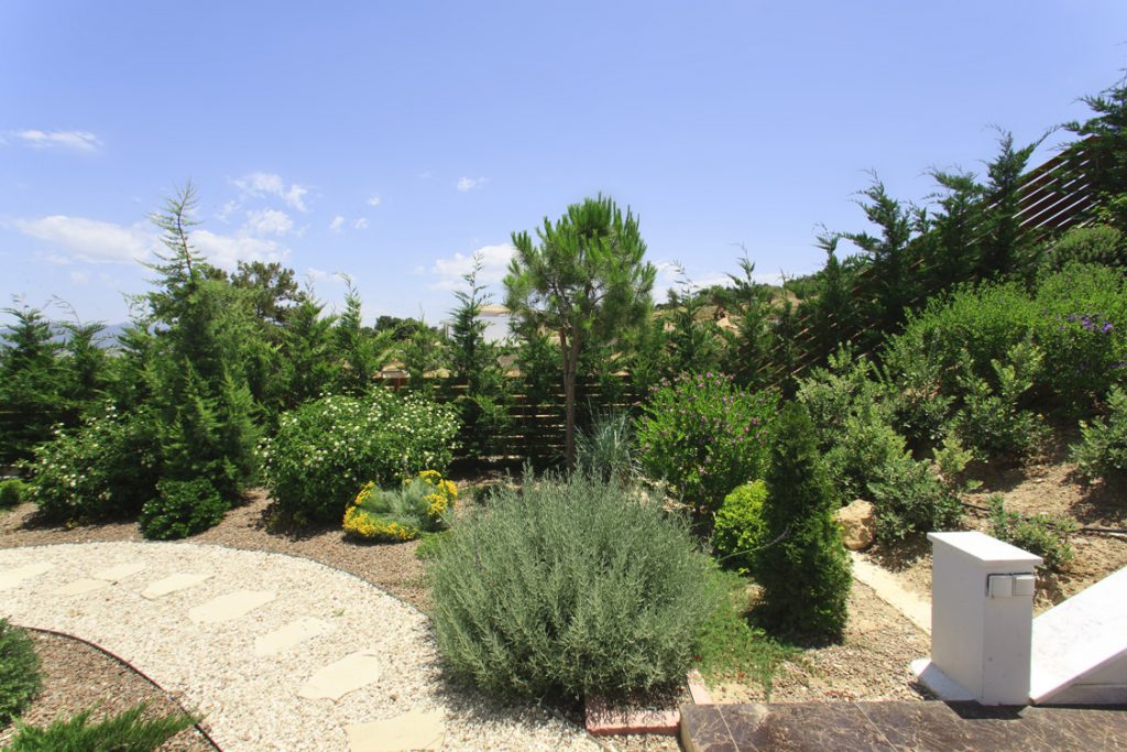 Green Forest - Cyprus' leading landscaping company - project 009 33 2