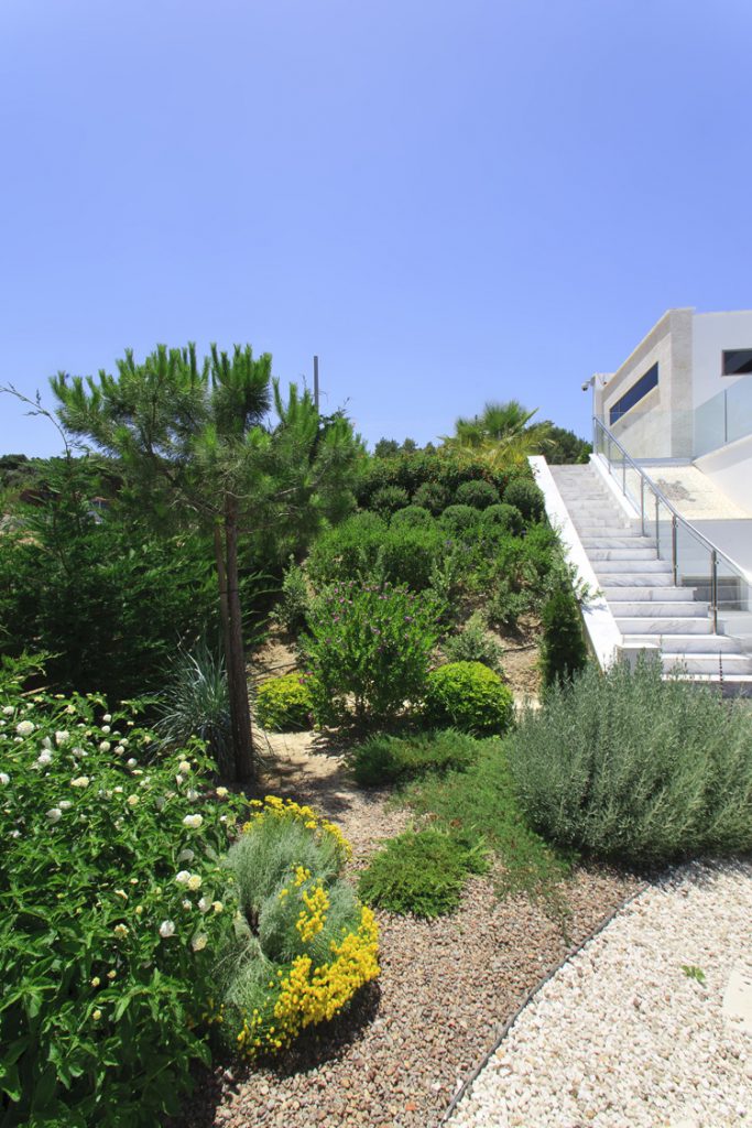 Green Forest - Cyprus' leading landscaping company - project 009 34 2