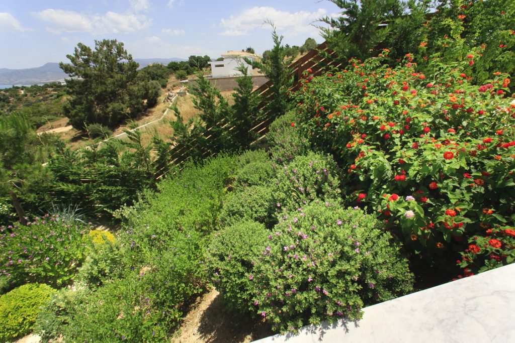 Green Forest - Cyprus' leading landscaping company - project 009 35