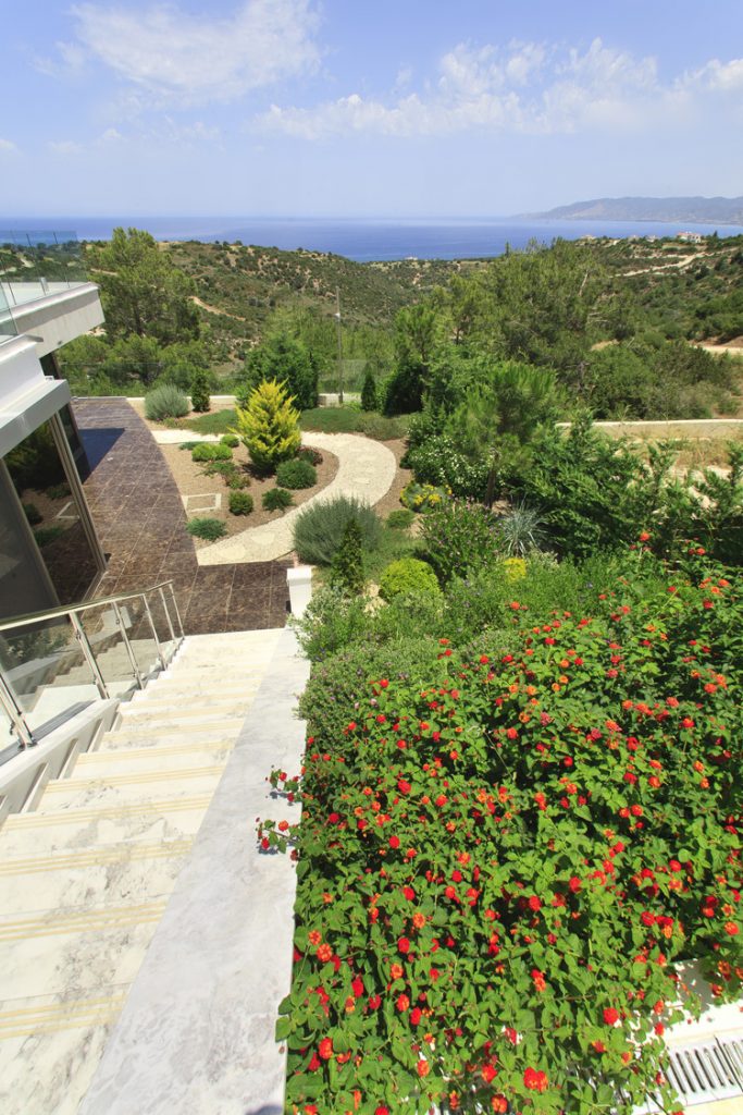 Green Forest - Cyprus' leading landscaping company - project 009 36 2