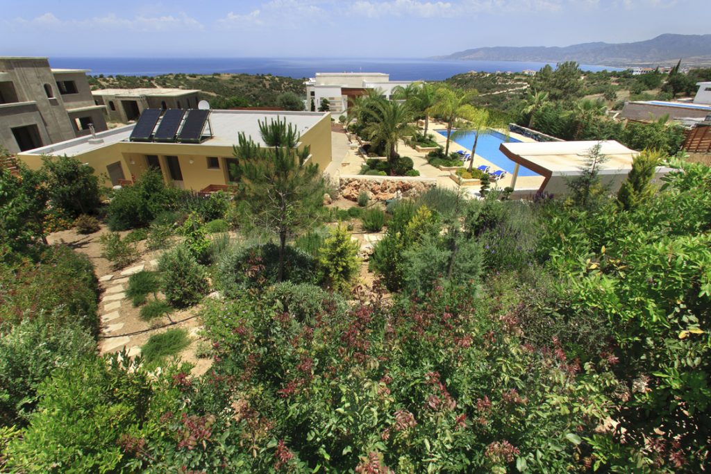 Green Forest - Cyprus' leading landscaping company - project 009 42 1