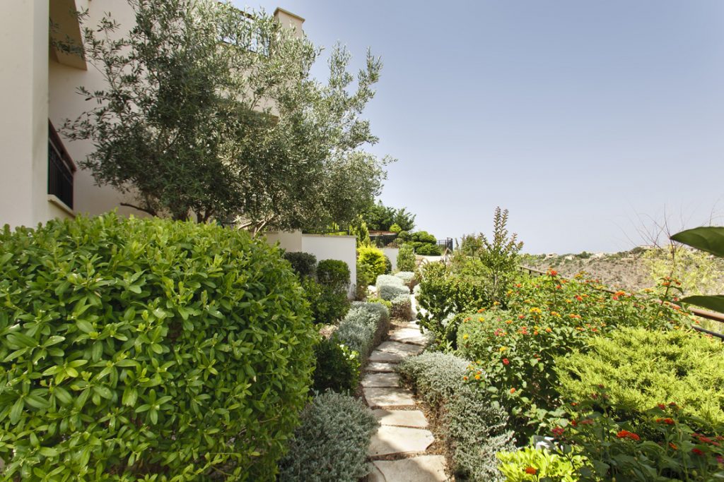 Green Forest - Cyprus' leading landscaping company - project 010 10 1