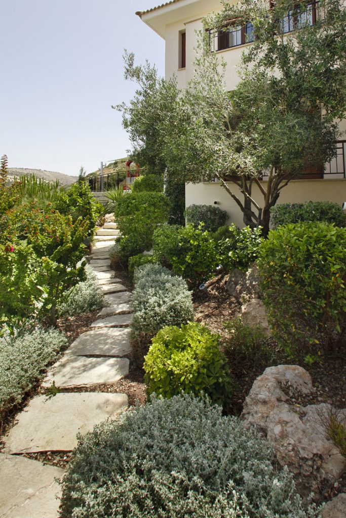 Green Forest - Cyprus' leading landscaping company - project 010 11 2