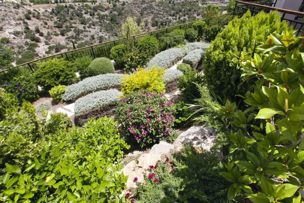 Green Forest - Cyprus' leading landscaping company - project 010 18 2