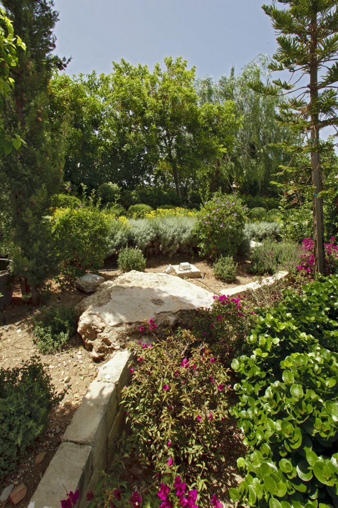 Green Forest - Cyprus' leading landscaping company - project 010 24 1