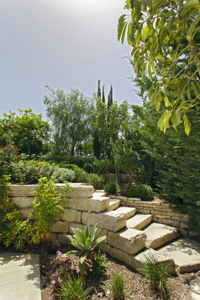 Green Forest - Cyprus' leading landscaping company - project 010 26