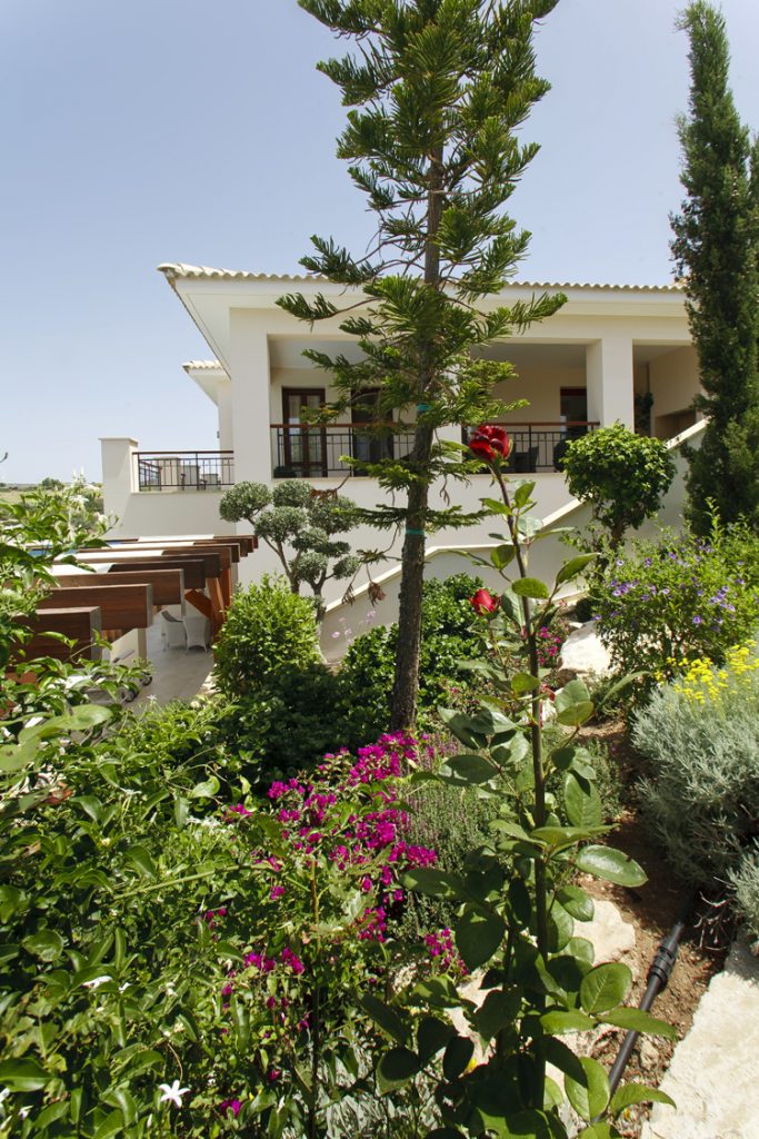 Green Forest - Cyprus' leading landscaping company - project 010 28 2