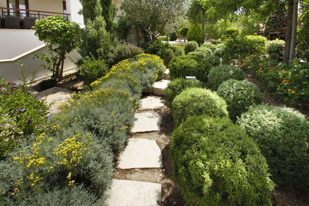 Green Forest - Cyprus' leading landscaping company - project 010 29 2
