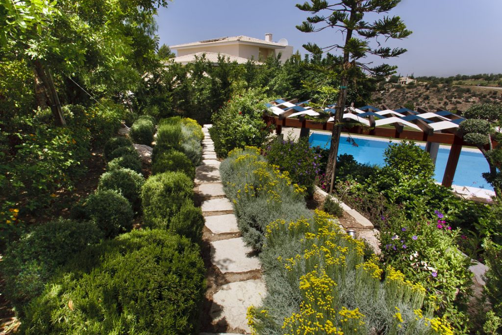 Green Forest - Cyprus' leading landscaping company - project 010 30 2