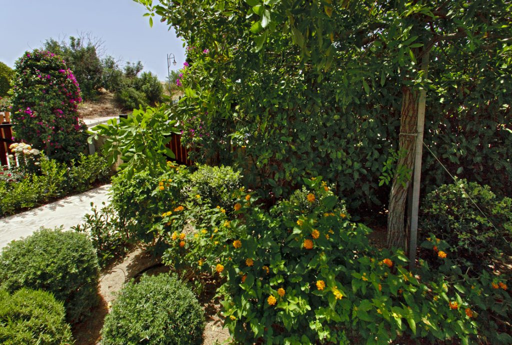 Green Forest - Cyprus' leading landscaping company - project 010 31 2