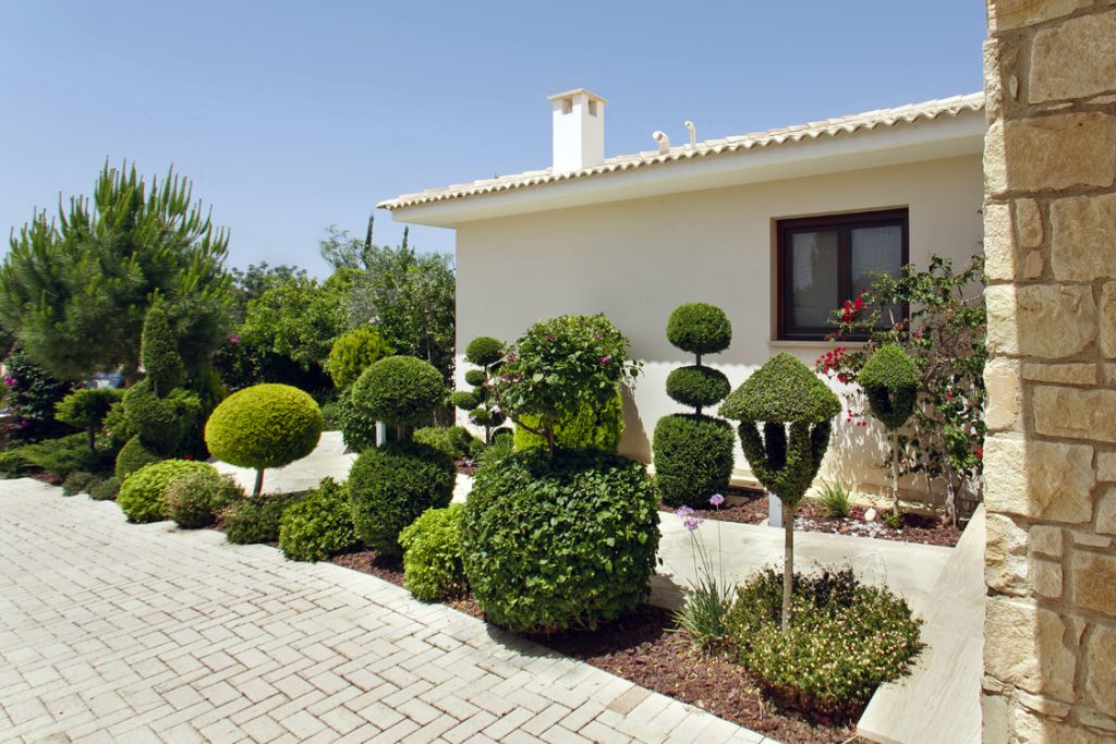 Green Forest - Cyprus' leading landscaping company - project 010 35 1