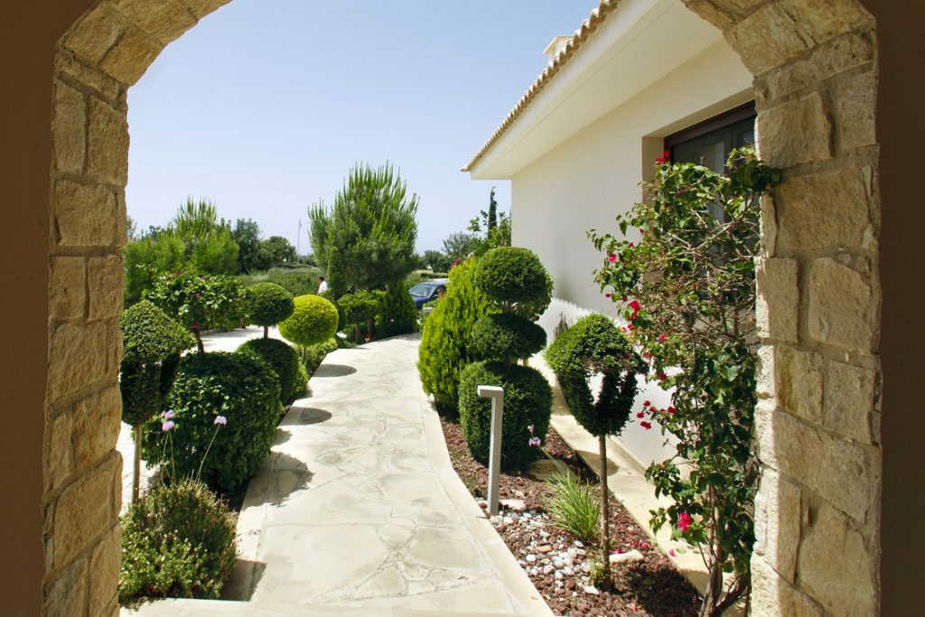 Green Forest - Cyprus' leading landscaping company - project 010 36 2