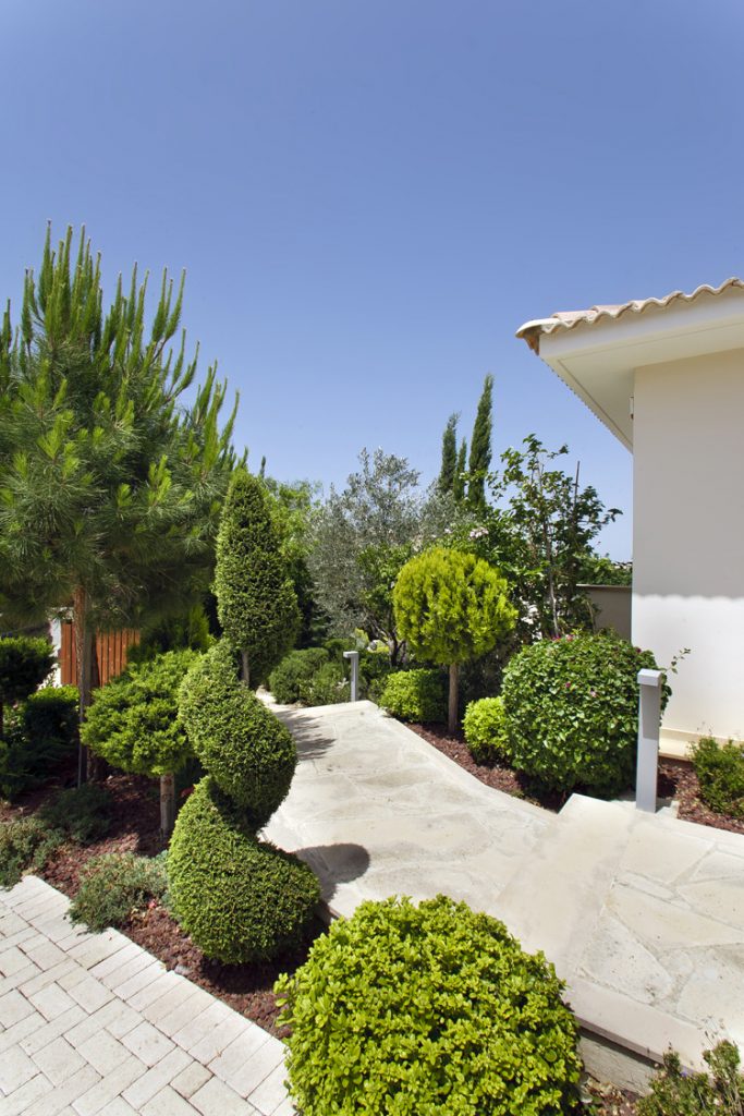 Green Forest - Cyprus' leading landscaping company - project 010 37