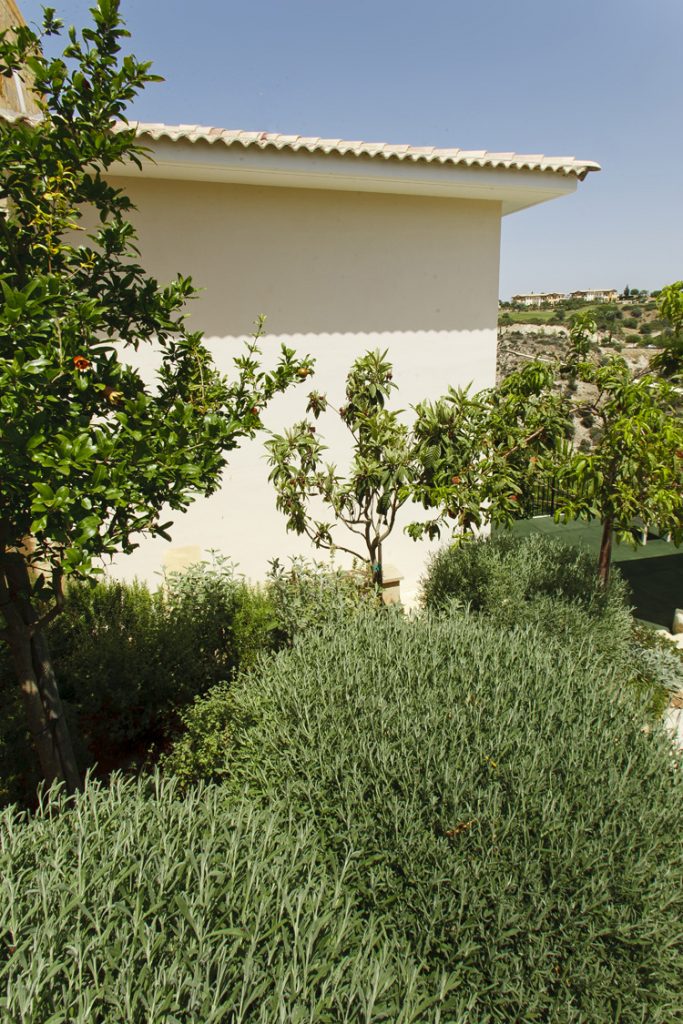 Green Forest - Cyprus' leading landscaping company - project 010 7 1