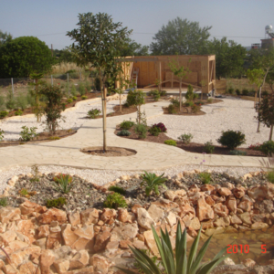 Green Forest - Cyprus' leading landscaping company - project 011 1 2
