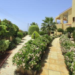 Green Forest - Cyprus' leading landscaping company - project 012 1 2