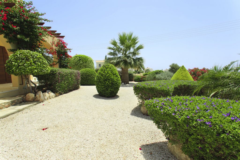 Green Forest - Cyprus' leading landscaping company - project 012 14 2