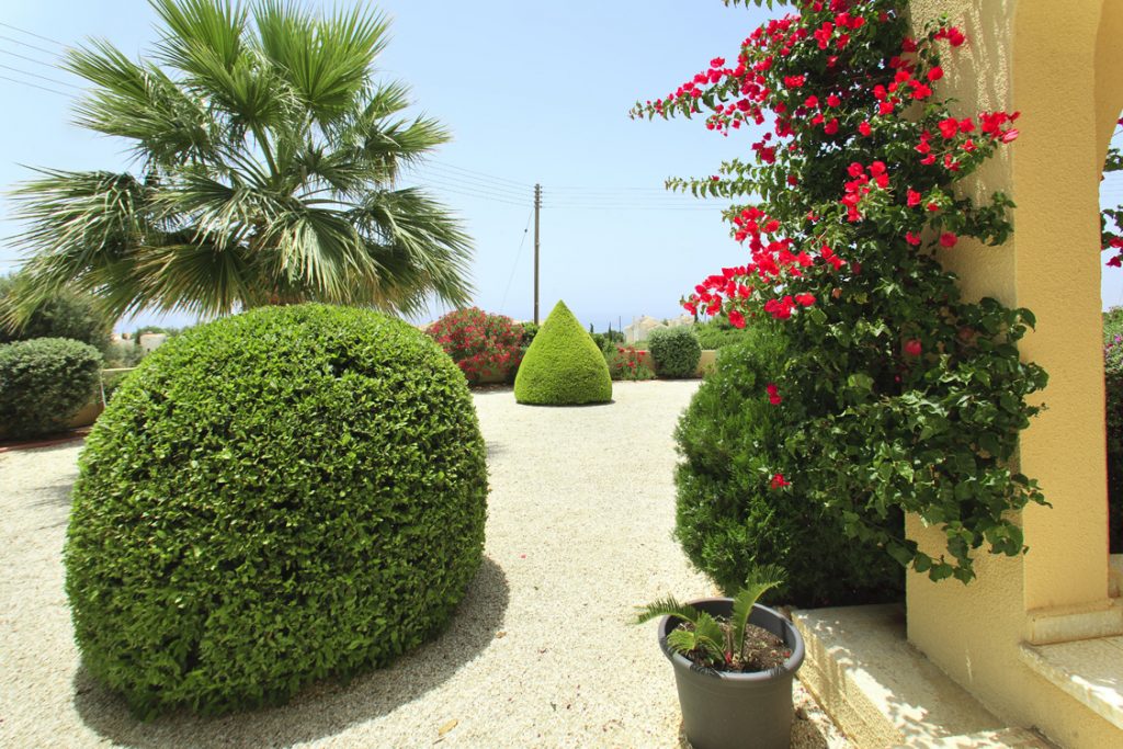 Green Forest - Cyprus' leading landscaping company - project 012 18 2