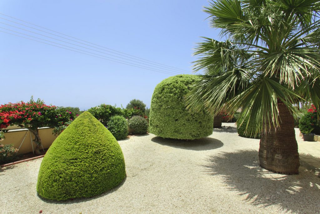 Green Forest - Cyprus' leading landscaping company - project 012 2