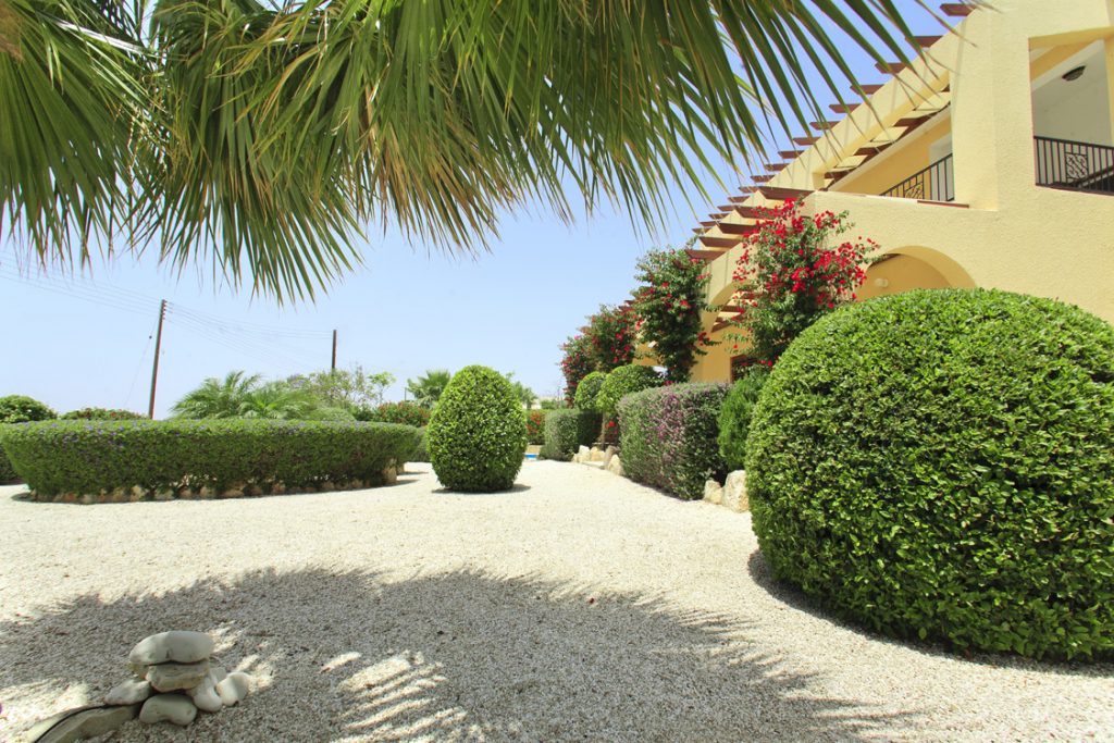 Green Forest - Cyprus' leading landscaping company - project 012 6 2