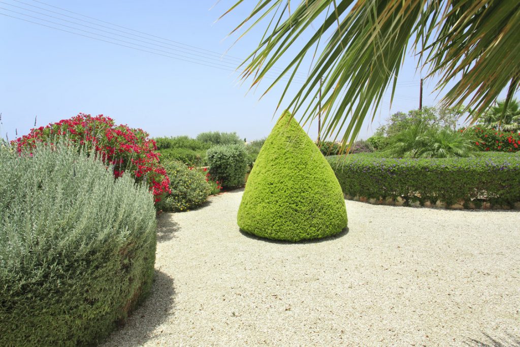 Green Forest - Cyprus' leading landscaping company - project 012 7 2