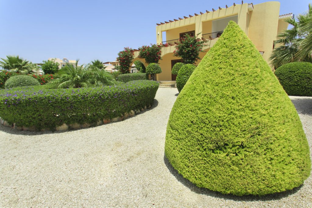 Green Forest - Cyprus' leading landscaping company - project 012 9 2