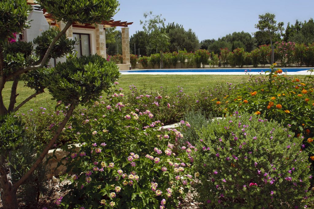 Green Forest - Cyprus' leading landscaping company - project 016 22 2