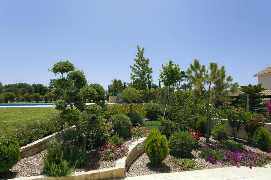 Green Forest - Cyprus' leading landscaping company - project 016 23 1